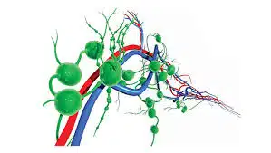 Lymphadenopathy