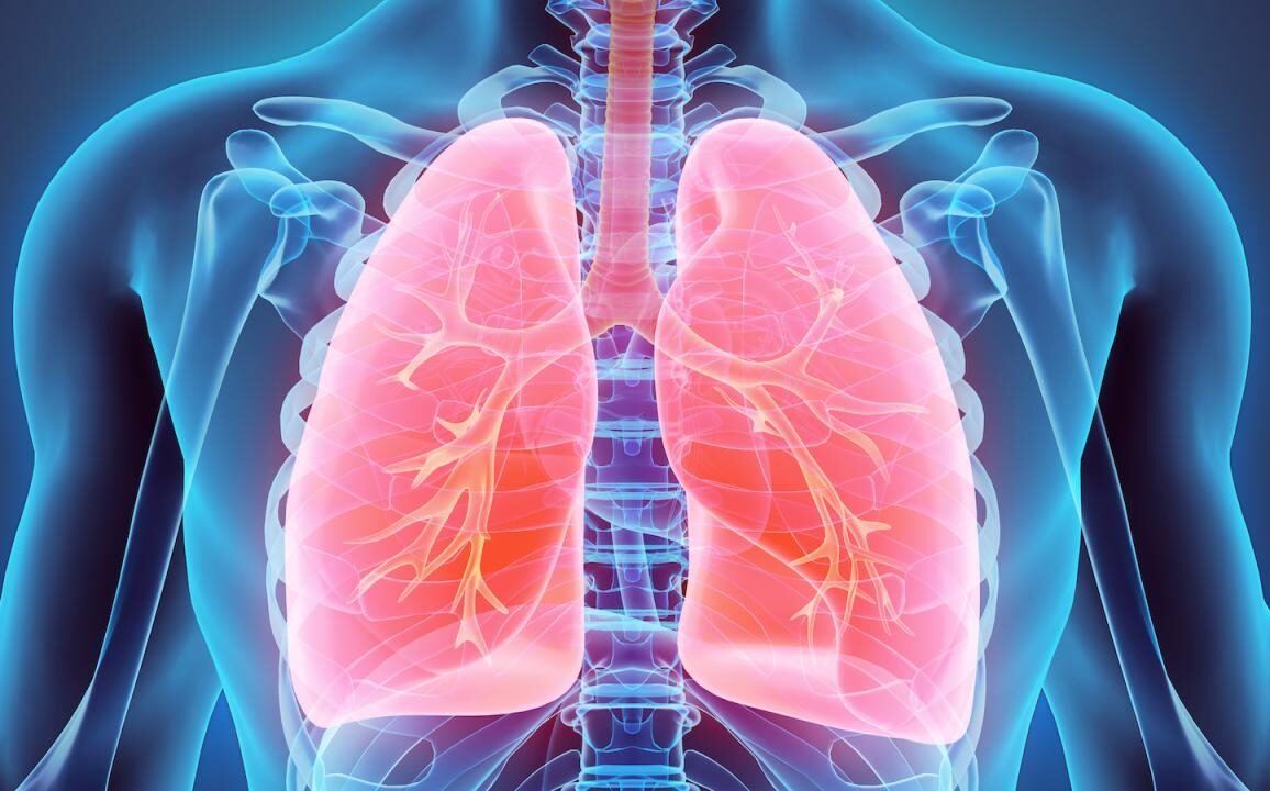 Chest And Lung Health Packages | Private Ultrasound Scans And Health Checks | London Private Ultrasound lung health