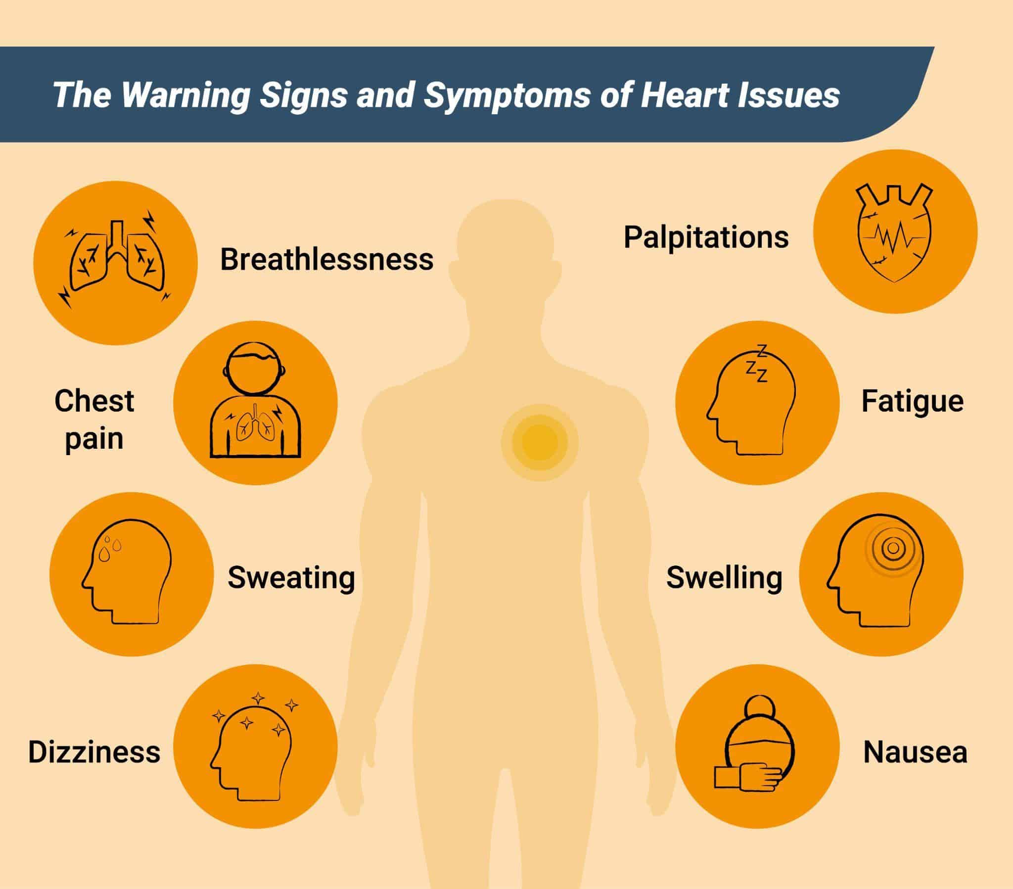 Listen To Your Heart: Why Heart Health Check-Ups Matter | Private Ultrasound Scans and Health Checks | London Private Ultrasound