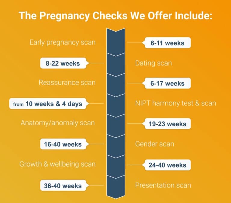 Pregnancy Time line