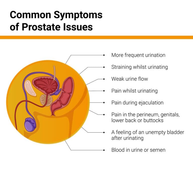 prostate