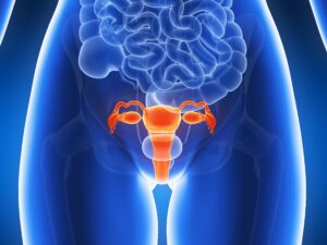 Uterine Health