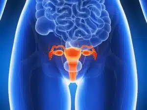 Uterine Health