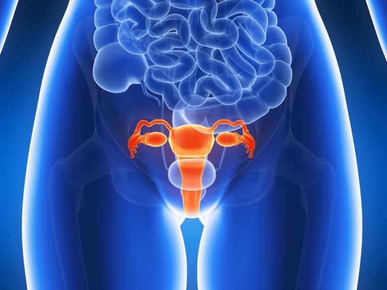 Uterine Health