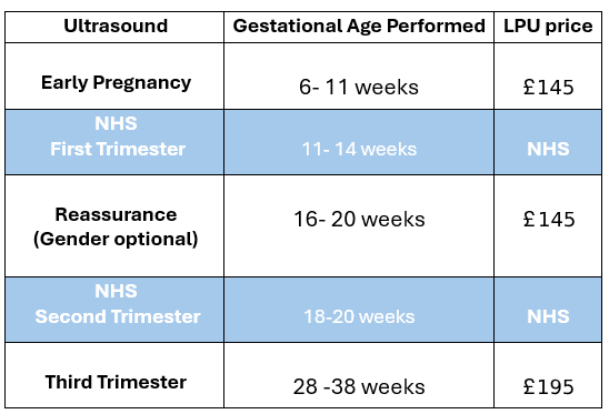 Pregnancy Scans