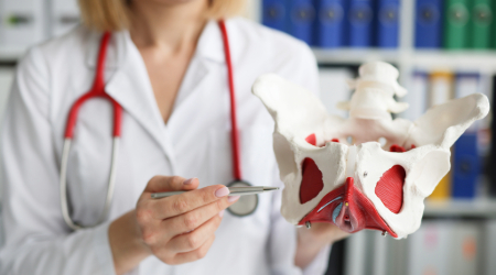 Pelvic ultrasound scan