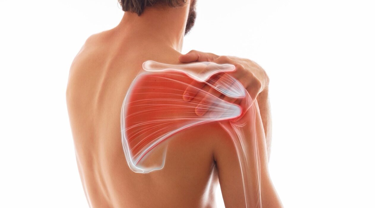 Shoulder Ultrasound Scan -MSK