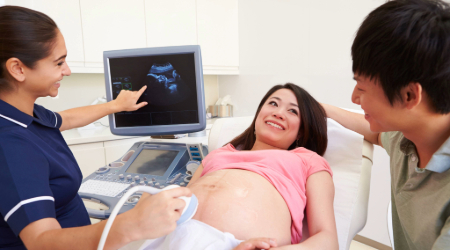 pregnancy Ultrasound Scan