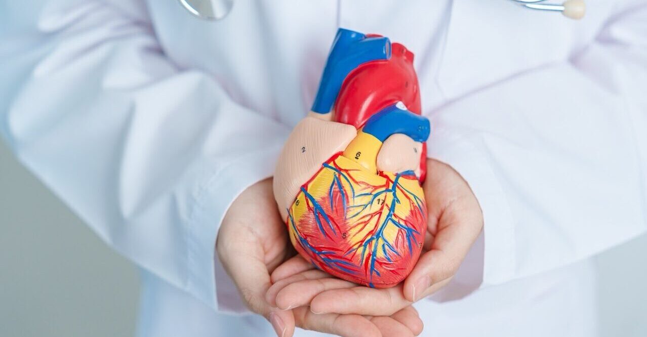 Private Heart Health Check-Ups In Central London