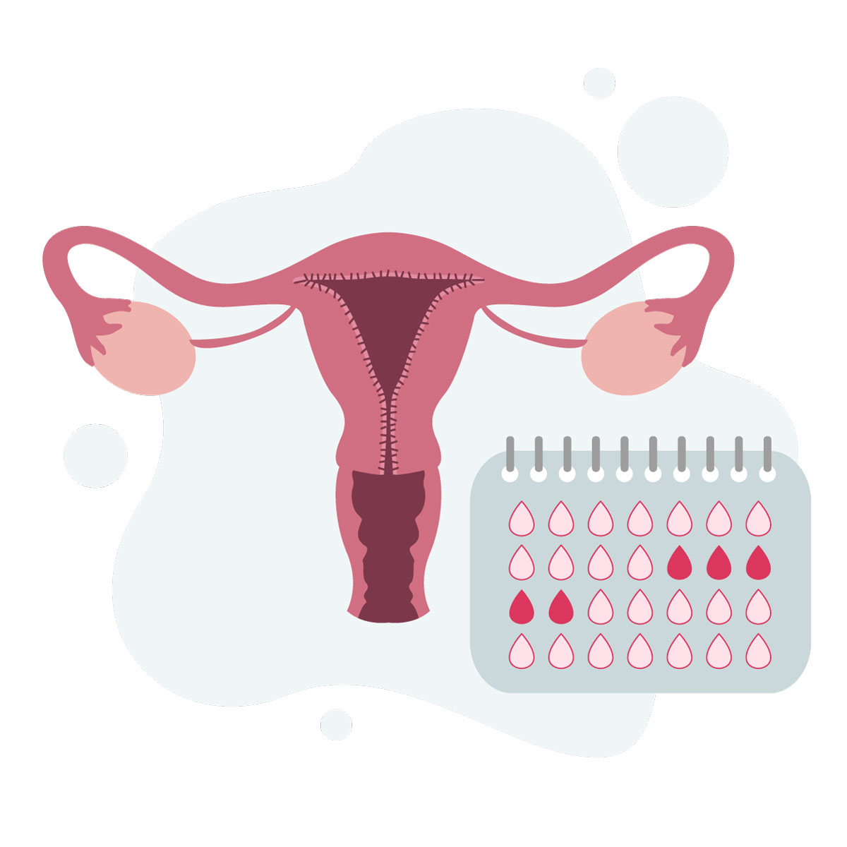 Amenorrhea Health Check at London Private Ultrasound