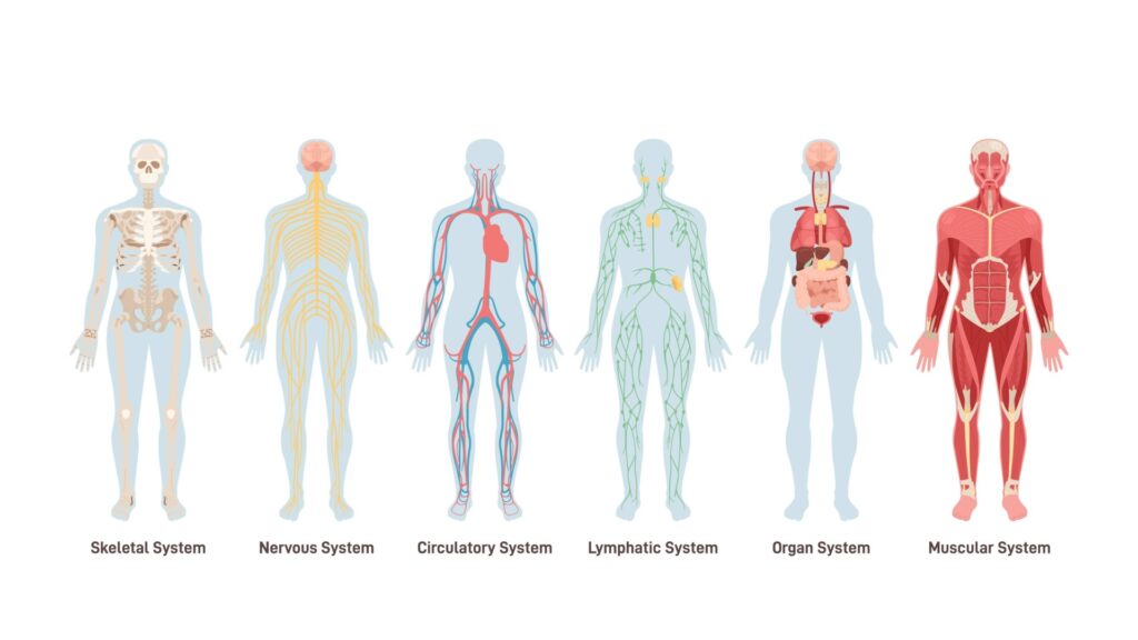 Reviews | Private Ultrasound Scans and Health Checks | London Private Ultrasound