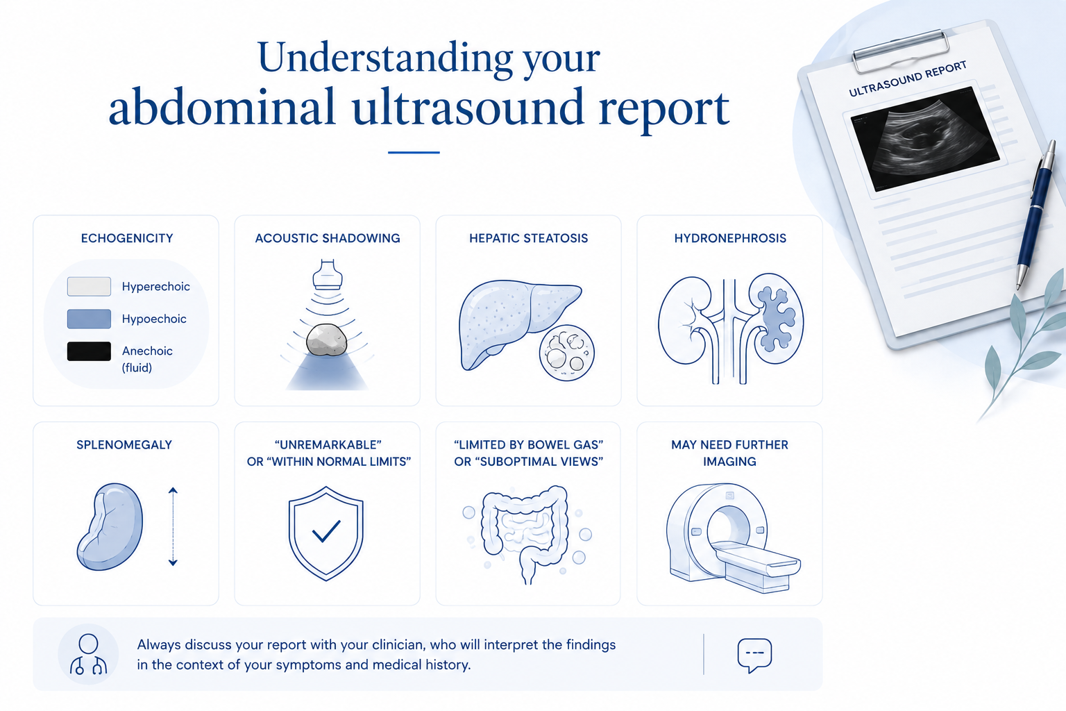 Guide to common abdominal ultrasound report terms including echogenicity, acoustic shadowing, hepatic steatosis, hydronephrosis and splenomegaly