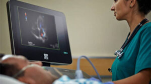 heart health check premium | Private Ultrasound Scans and Health Checks | London Private Ultrasound